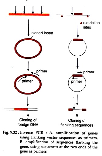 Inverse PCR