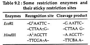 Some Restriction Enzymes