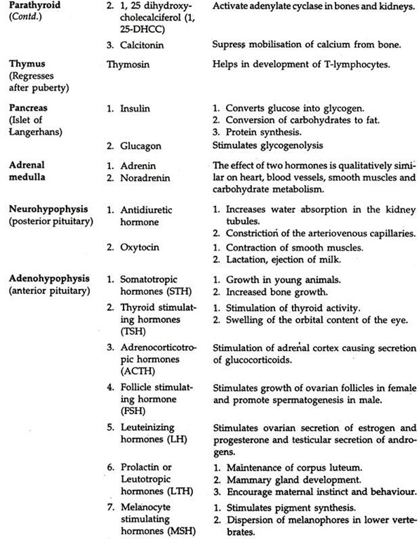 Function Of Hormones In The Endocrine System Animals