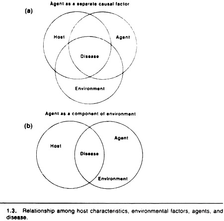 Relationship among host characteristics, environmental factors, agents and disease